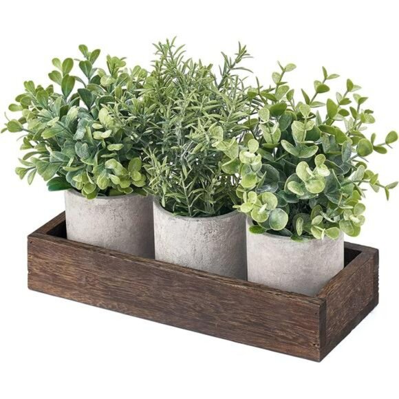 Set of 3 mini potted artificial eucalyptus plants with wood tray farmhouse decor - Picture 6 of 7